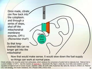 Once made, citrate




                                                            Fat
          can flow back into
          the cytoplasm.
          and through a
          series of steps,
          shut off the
          mitochondrial
          membrane                                   citrate
          enzyme, CPT-1                                Citric
          (Remember that?)                             Acid
                                                       Cycle
        So that long-
        chained fats can no
        longer get into the
        mitochodria!
           Now that would make sense. It would slow down the fuel supply
           so things can work at normal pace.
Citrate activates the enzyme acetyl CoA carboxylase, which catalyzes the conversion of acetyl CoA to malonyly-CoA. Malonyl CoA is
a potent inhibitor of CPT-1. See the reaction at Appendix 4. Bavenholm PN, Pigon J, Saha AK, et al. Fatty acid oxidation and the
regulation of malonyl-CoA in human muscle. Diabetes 2000; 49:1078–1083. Ruderman NB, Saha AK, Vavvas D, Witters LA. Malonyl-
CoA, fuel sensing, and insulin resistance. Am J Physiol 1999; 276:E1–E18.                                                        48
 