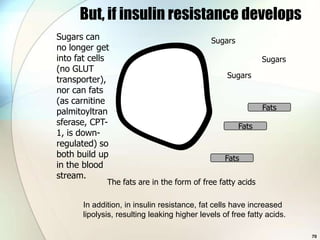 But, if insulin resistance develops
Sugars can                                    Sugars
no longer get
into fat cells                                                Sugars
(no GLUT
                                                   Sugars
transporter),
nor can fats
(as carnitine
                                                              Fats
palmitoyltran
sferase, CPT-                                          Fats
1, is down-
regulated) so
both build up                                      Fats
in the blood
stream.
              The fats are in the form of free fatty acids

       In addition, in insulin resistance, fat cells have increased
       lipolysis, resulting leaking higher levels of free fatty acids.

                                                                         70
 