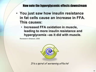 Now note the hyperglycemic effects downstream

• You just saw how insulin resistance
  in fat cells cause an increase in FFA.
  This causes:
   • Increased FFA oxidation in muscle,
     leading to more insulin resistance and
     hyperglycemia –as it did with muscle.
  Reviewed in Sheenan, 2008




               It’s a spiral of worsening effects!

                                                     71
 