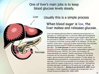 One of liver’s main jobs is to keep
  blood glucose levels steady.

  Liver   Usually this is a simple process
              When blood sugar is low, the
              liver makes and releases glucose.
              Liver can release glucose either by releasing stored glucose (i.e.
              glycogen) or making glucose in a process called gluconeogenesis.
              To break down glycogen, low blood sugar triggers alpha cells in
              the pancreas to release a hormone called glucagon. Glucagon binds
              to receptors on the liver causing cAMP to be released. (To see the
              reaction, press here > Appendix 9) After several steps, this activates
              glycogen phosphorylase to initiate the breakdown of stored
              glycogen. To make glucose (to see the reaction press here:
              Appendix 2) three substrates (pyruvate, oxaloacetate or glycerol )
   Pancreas   and three enzymes: PEPCK, G-6_Pase, and fructose-1,6-
              bisphosphatase are needed Genetic expression of the first two
              enzymes can be induced by glucagon – if fasting (ie. low blood
              sugar), glucocorticoids (cortisone and cortisol) -if under stress, or
              catecholamines (epinephrine, norepinephrine, and dopamine) - by
              exercise. Growth hormone secreted by the pituitary and cortisol
              also inhibit the uptake of glucose by muscle and fat. Epinephrine
              activates glycogen breakdown in the same way as glucagon –as
              shown in the Appendix 1. Barthel A and Schmoll D, 2003. Novel
              concepts in insulin regulation of hepatic gluconeogenesis. Am J
              Physiol Endocrinol Metab 285: E685–E692
                                                                                   74
 