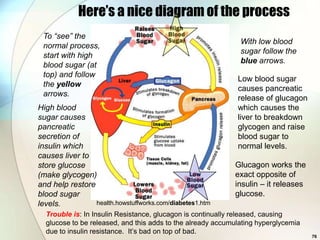 Here’s a nice diagram of the process
 To “see” the
                                                              With low blood
 normal process,
                                                              sugar follow the
 start with high
                                                              blue arrows.
 blood sugar (at
 top) and follow
                                                             Low blood sugar
 the yellow
                                                             causes pancreatic
 arrows.
                                                             release of glucagon
High blood                                                   which causes the
sugar causes                                                 liver to breakdown
pancreatic                                                   glycogen and raise
secretion of                                                 blood sugar to
insulin which                                                normal levels.
causes liver to
store glucose                                               Glucagon works the
(make glycogen)                                             exact opposite of
and help restore                                            insulin – it releases
blood sugar                                                 glucose.
levels.          health.howstuffworks.com/diabetes1.htm
  Trouble is: In Insulin Resistance, glucagon is continually released, causing
  glucose to be released, and this adds to the already accumulating hyperglycemia
  due to insulin resistance. It’s bad on top of bad.
                                                                                    76
 