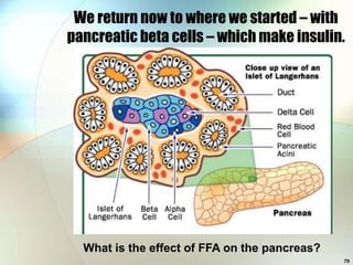 We return now to where we started – with
pancreatic beta cells – which make insulin.




  What is the effect of FFA on the pancreas?
                                               79
 