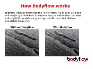 Bodyflow therapy education. | PPT