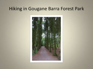 Hiking in GouganeBarra Forest Park