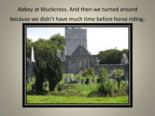 Abbey at Muckcross. And then we turned around because we didn’t have much time before horse riding.