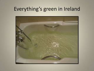 Everything’s green in Ireland