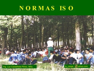 NORMAS ISO lu_caspe  yahoo.com Ing. Luz Castañeda Pérez, MSc. 