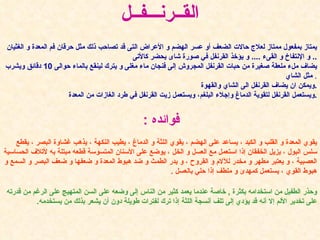 القــرنـــفــل يمتاز بمفعول ممتاز لعلاج حالات الضعف أو عسر الهضم و الأعراض التى قد تصاحب ذلك مثل حرقان فم المعدة و الغثيان و الإنتفاخ و القىء  ....  و يؤخذ القرنفل في صورة شاى يحضر كالأتى   .. يضاف ملء ملعقة صغيرة من حبات القرنفل المجروش إلى فنجان ماء مغلى و يترك لينقع بالماء حوالى  10  دقائق ويشرب مثل الشاي   . ويمكن ان يضاف القرنفل الى الشاي والقهوة  . ويستعمل القرنفل لتقوية الدماغ وإجلاء البلغم، ويستعمل زيت القرنفل في طرد الغازات من المعدة  . فوائده  :   يقوي المعدة و القلب و الكبد ، يساعد على الهضم ، يقوي اللثة و الدماغ ، يطيب النكهة ، يذهب غشاوة البصر ، يقطع سلس البول ، يزيل الخفقان إذا استعمل مع العسل و الخل ، يوضع على الأسنان المتسوسة قطعه مبتلة به لأتلاف الحساسية العصبية ، و يعتبر مطهر و مخدر للآلام و القروح ، و يدر الطمث و ضد هبوط المعدة و ضعفها و ضعف البصر و السمع و هبوط القوي ، يستعمل كمهدئ و ملطف إذا حلي بالعسل  . وحذر الطفيل من استخدامه بكثرة  ,  خاصة عندما يعمد كثير من الناس إلى وضعه على السن المتهيج على الرغم من قدرته على تخدير الألم إلا أنه قد يؤدي إلى تلف أنسجة اللثة إذا ترك لفترات طويلة دون أن يشعر بذلك من يستخدمه . 