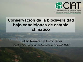 Conservación de la biodiversidad bajo condiciones de cambio climático Julián Ramírez y Andy Jarvis Centro Internacional de Agricultura Tropical, CIAT 