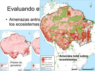 Julian R - Diversidad tropical, conservacion y desarrollo