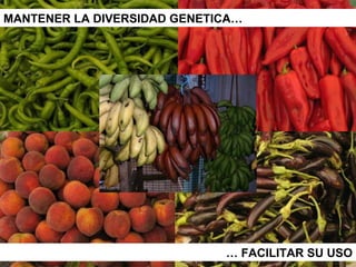 Julian R - Diversidad tropical, conservacion y desarrollo