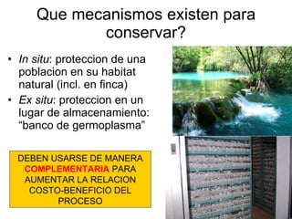 Julian R - Diversidad tropical, conservacion y desarrollo