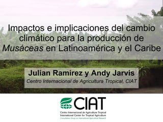 Impactos e implicaciones del cambio climático para la producción de  Musáceas  en Latinoamérica y el Caribe Julian Ramirez y Andy Jarvis Centro Internacional de Agricultura Tropical, CIAT 