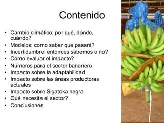 Julian R - Impactos e implicaciones del cambio climatico en la produccion de musaceas de Latinoamerica y el Caribe, Costa Rica Nov 2009
