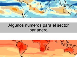 Julian R - Impactos e implicaciones del cambio climatico en la produccion de musaceas de Latinoamerica y el Caribe, Costa Rica Nov 2009