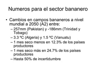 Julian R - Impactos e implicaciones del cambio climatico en la produccion de musaceas de Latinoamerica y el Caribe, Costa Rica Nov 2009