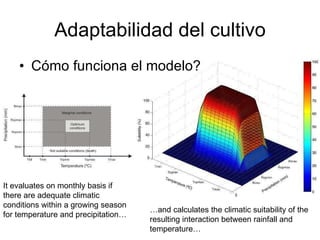 Julian R - Impactos e implicaciones del cambio climatico en la produccion de musaceas de Latinoamerica y el Caribe, Costa Rica Nov 2009