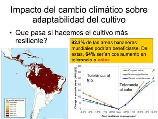 Julian R - Impactos e implicaciones del cambio climatico en la produccion de musaceas de Latinoamerica y el Caribe, Costa Rica Nov 2009