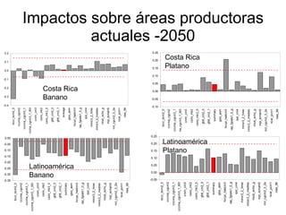 Julian R - Impactos e implicaciones del cambio climatico en la produccion de musaceas de Latinoamerica y el Caribe, Costa Rica Nov 2009
