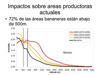 Julian R - Impactos e implicaciones del cambio climatico en la produccion de musaceas de Latinoamerica y el Caribe, Costa Rica Nov 2009