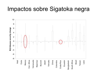 Julian R - Impactos e implicaciones del cambio climatico en la produccion de musaceas de Latinoamerica y el Caribe, Costa Rica Nov 2009