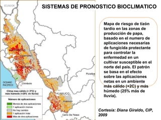Julian R - Impactos e implicaciones del cambio climatico en la produccion de musaceas de Latinoamerica y el Caribe, Costa Rica Nov 2009