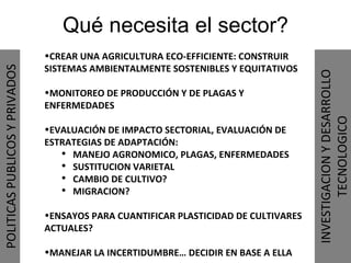 Julian R - Impactos e implicaciones del cambio climatico en la produccion de musaceas de Latinoamerica y el Caribe, Costa Rica Nov 2009