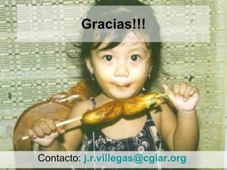 Julian R - Impactos e implicaciones del cambio climatico en la produccion de musaceas de Latinoamerica y el Caribe, Costa Rica Nov 2009