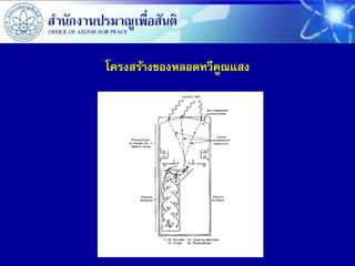 โครงสร้างของหลอดทวีคณแสง
                    ู
 