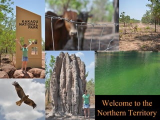 Randoms Welcome to the  Northern Territory  