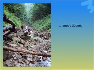 …  anebo žáé. 