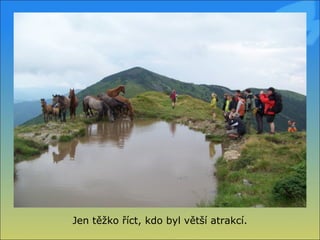 Jen těžko říct, kdo byl větší atrakcí. 