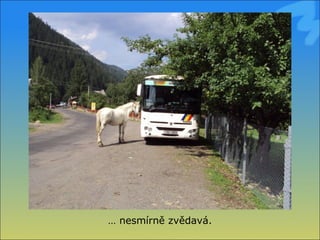 …  nesmírně ě岹á. 