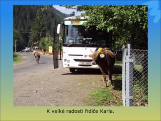 K velké radosti řidiče Karla. 