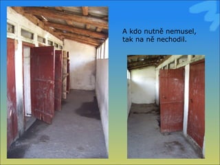 A kdo nutně nemusel, tak na ně nechodil. 