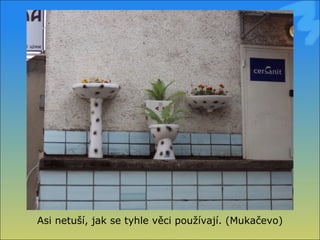 Asi netuší, jak se tyhle věci používají. (Mukačevo) 