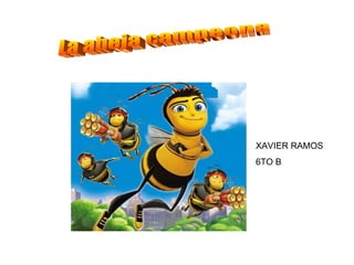 La abeja campeona XAVIER RAMOS  6TO B 