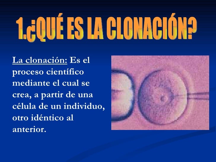 La Clonación