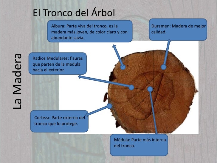 Materiales de Uso Técnico (I) La Madera