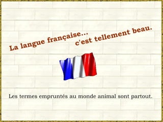 La langue française... c'est tellement beau. Les termes empruntés au monde animal sont partout. 