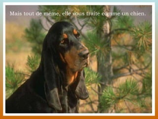 Mais tout de même, elle vous traite comme un chien.  