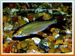 et finissez par noyer le poisson. 