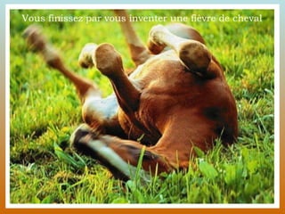 Vous finissez par vous inventer une fièvre de cheval  