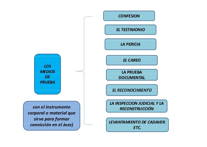La Prueba en Derecho Penal