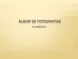 Álbum de fotografías FLAMENCO 