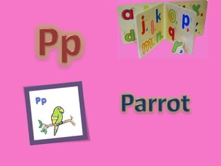 PpParrot