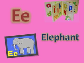 EeElephant