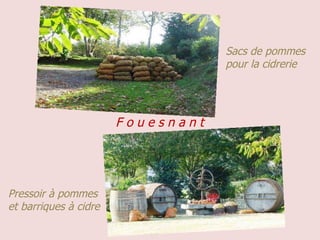 Sacs de pommes pour la cidrerie Pressoir à pommes et barriques à cidre F o u e s n a n t 