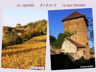 Le vignoble   Arbois   La tour Gloriette
 