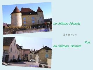 Le château Pécauld          .
.                      . ..
;                         ..
  . .. A r b o i s         ..
                         ..
                        Rue
du château Pécauld..
 
